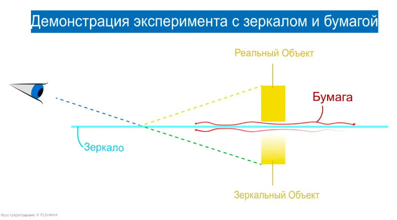    IFLScience.