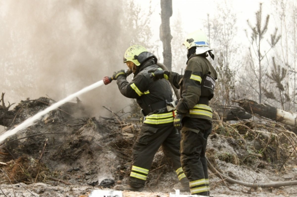    Муниципалитеты-лидеры по лесным пожарам назвали в Забайкалье