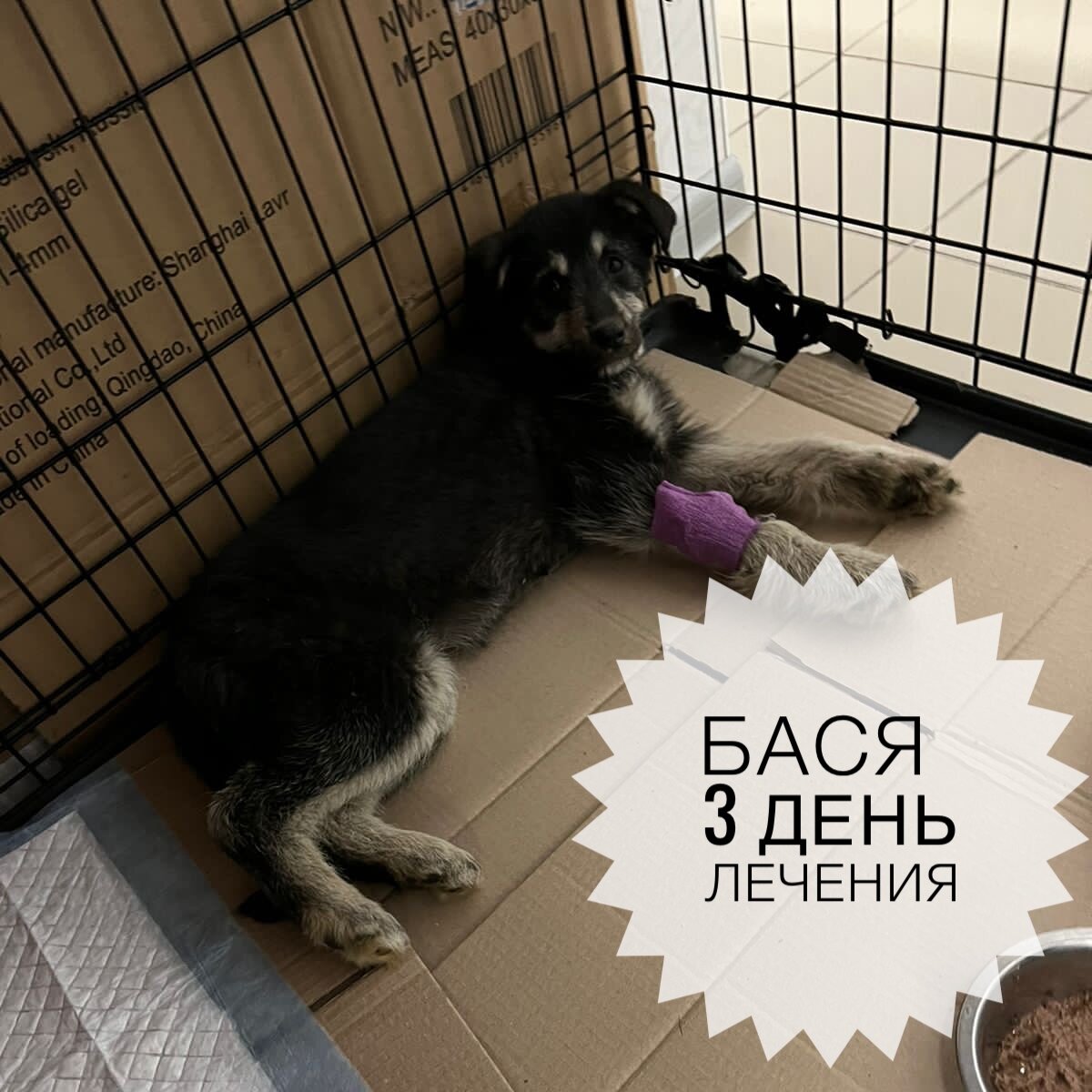 Пришли ее навещать