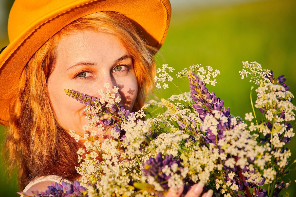 Изображение из открытого источника https://pixabay.com