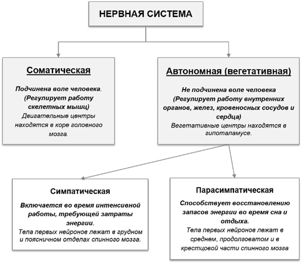 История ФИЦ КНЦ РАН