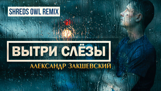 Александр Закшевский - Вытри слёзы (Shreds Owl Remix)