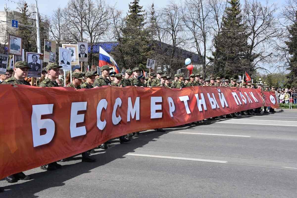 Краткое содержание бессмертный полк