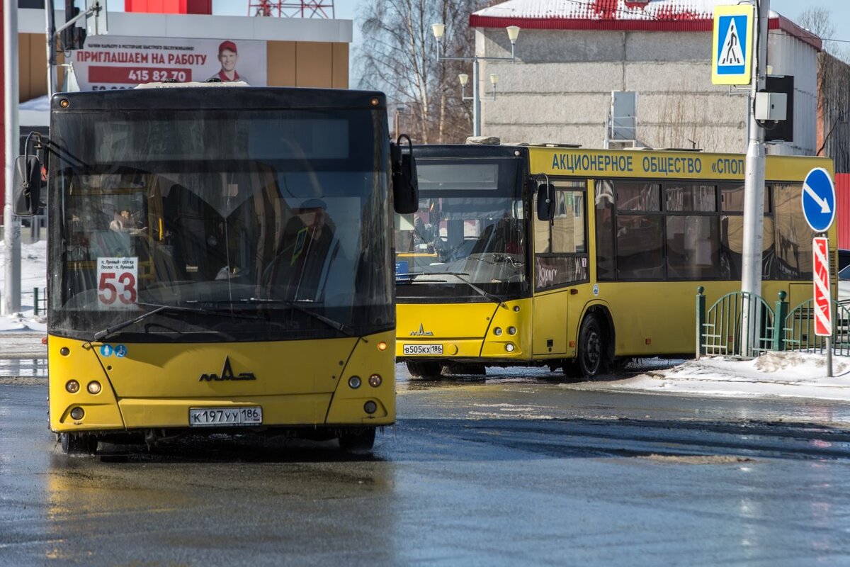 маршрутка это общественный транспорт или нет