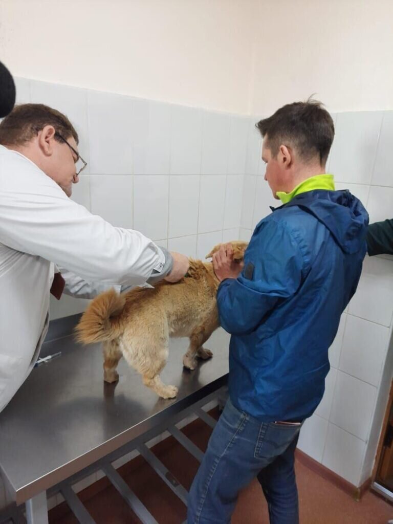   Фото: управление ветеринарии Амурской области