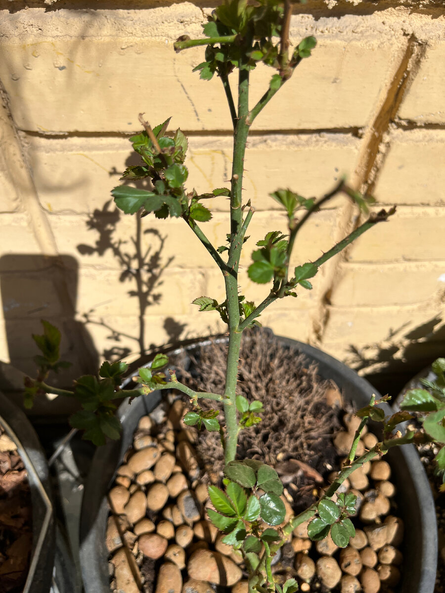 Как вариант👌