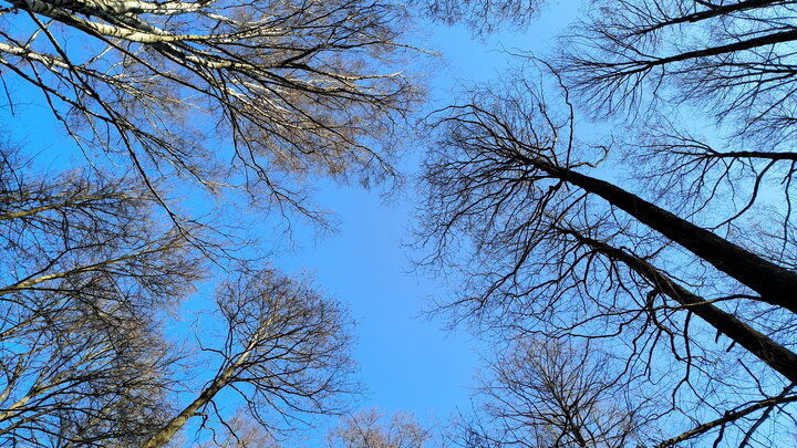 ФОТО:@MAKSIM KONSTANTINOV/GLOBALLOOKPRESS