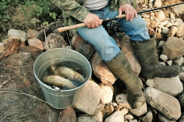    Фото: pixabay.com