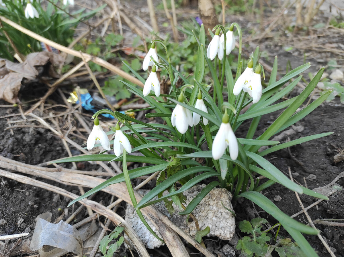 Личный архив