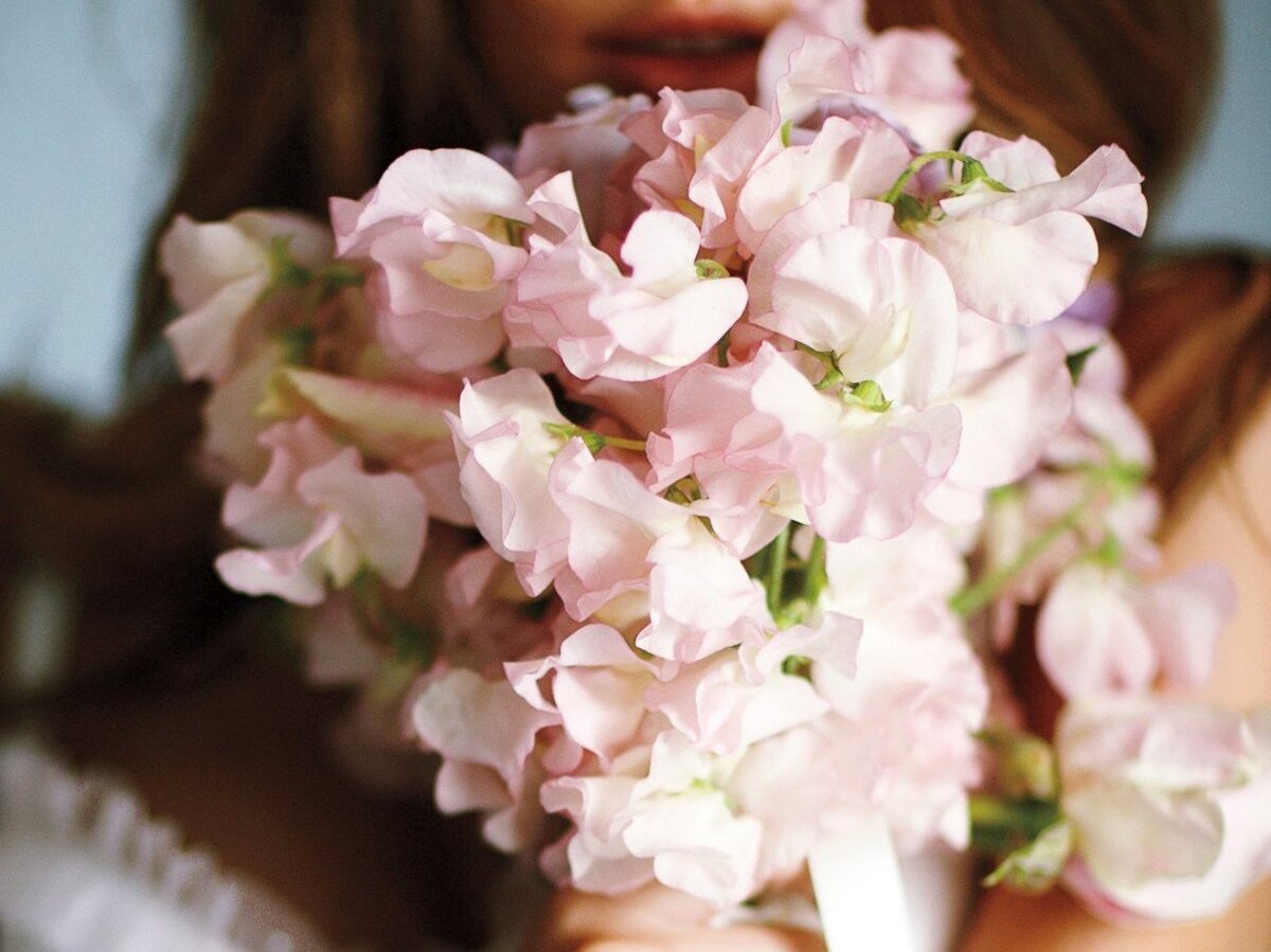 Изображение из открытого источника