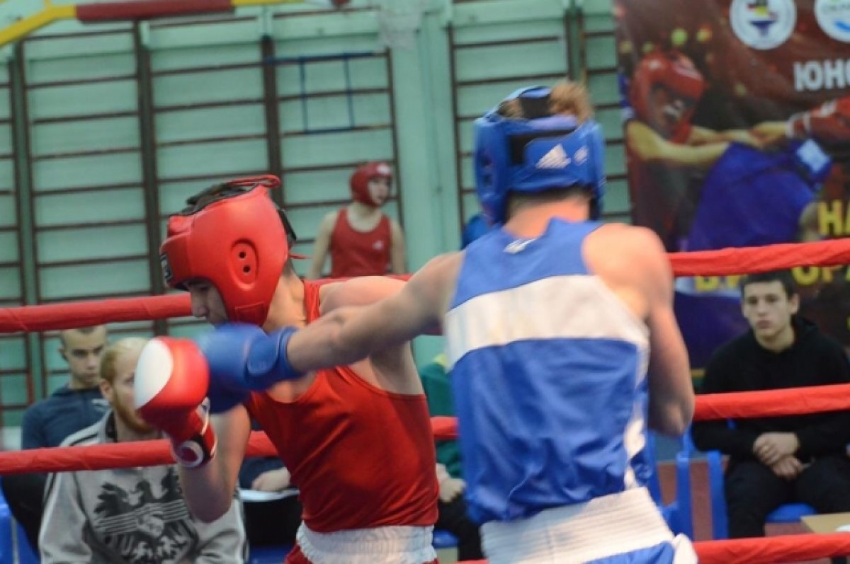    Боксёры из Североморска завоевали восемь золотых медалей в Карелии