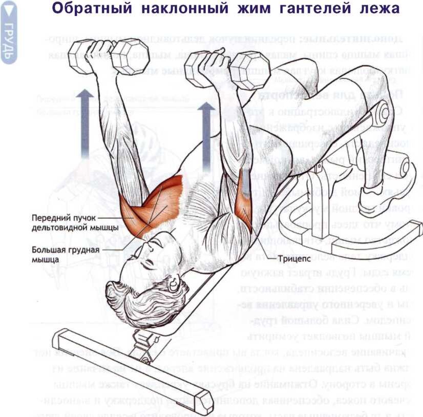 О! Вот оно, самое нелепое упражнение из всех. Я себя очень странно чувствую, когда его делаю, я прям думаю в этот момент, а нафига мне это всё вообще? Тренер говорит "надо". 