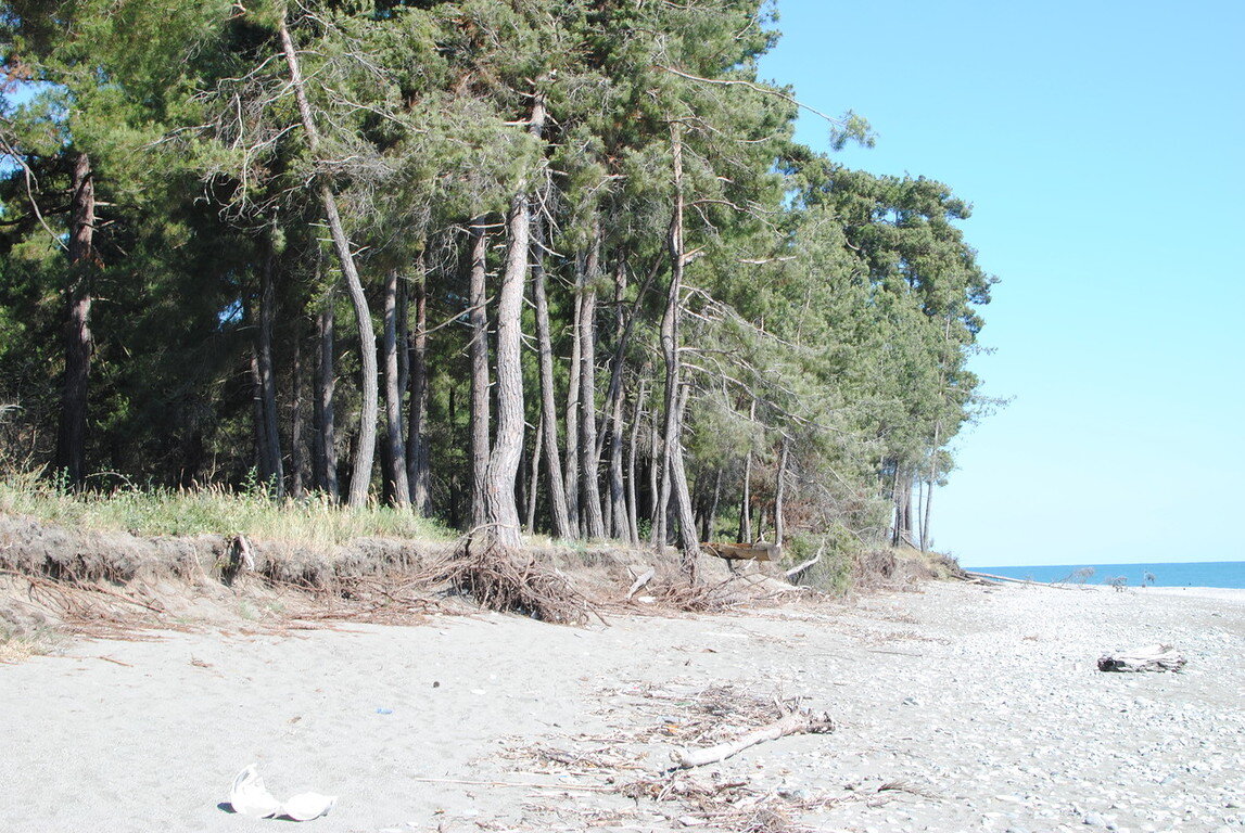 Мимо пляжей и нудистов вдоль по лесу с ветерком