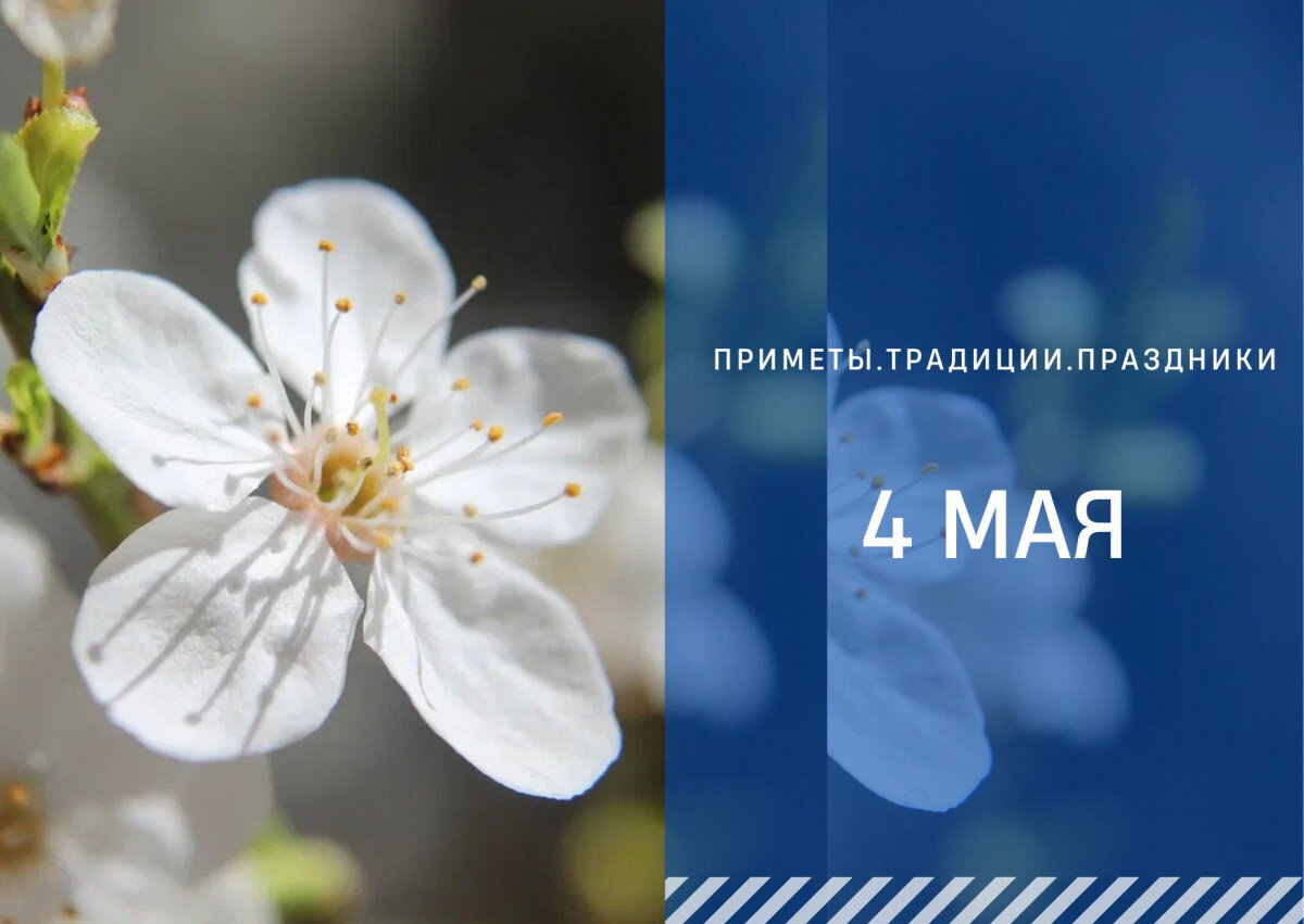   ГТРК "Ставрополье"