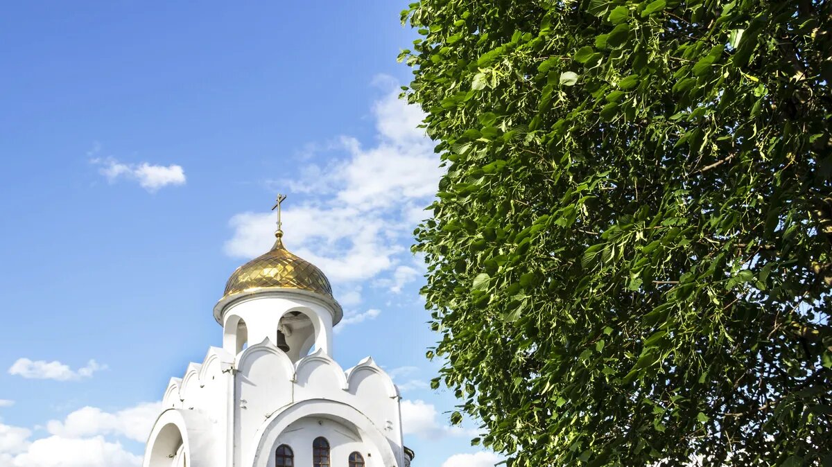 В этом году Михайлово чудо выпадет на вторник. Фото: Pxfuel.com