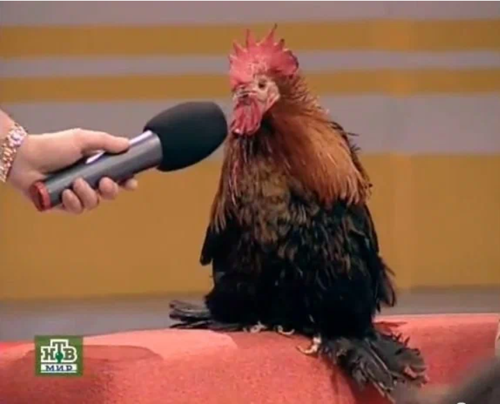 Дадим слово потерпевшей