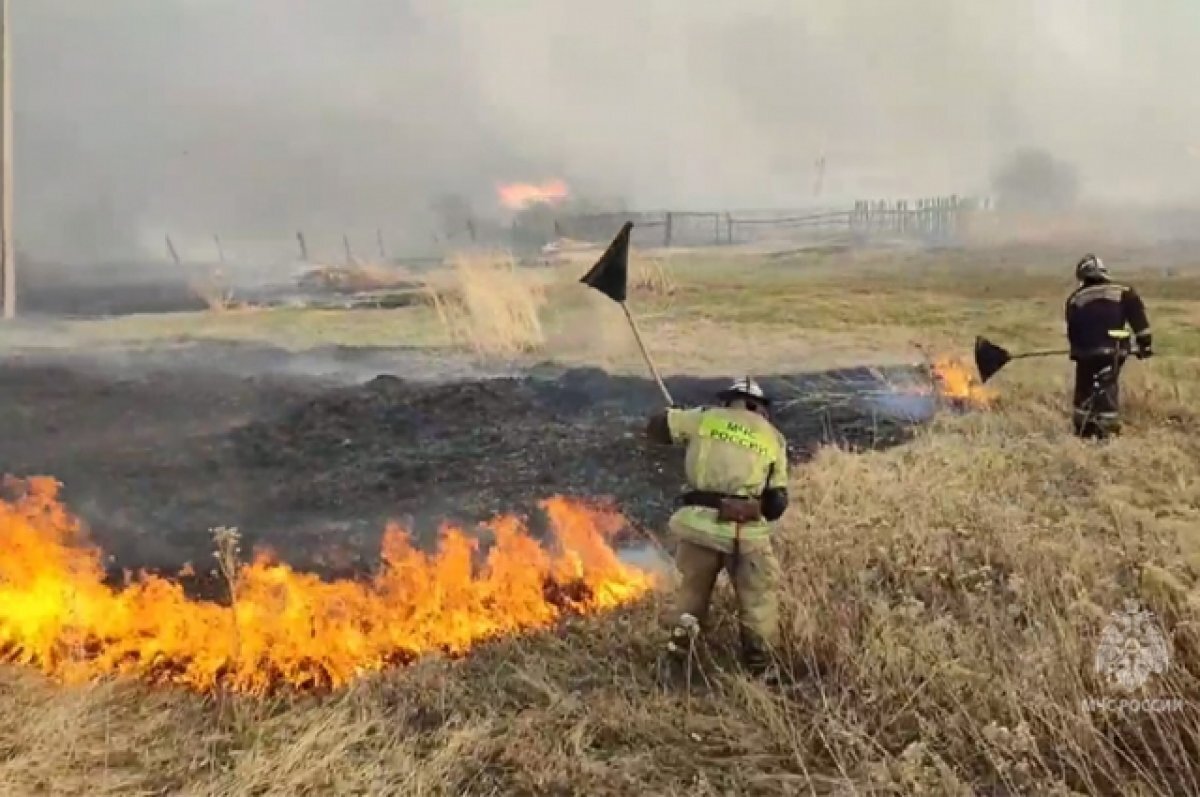    В связи с теплой погодой на Алтае сохраняется высокая пожароопасность