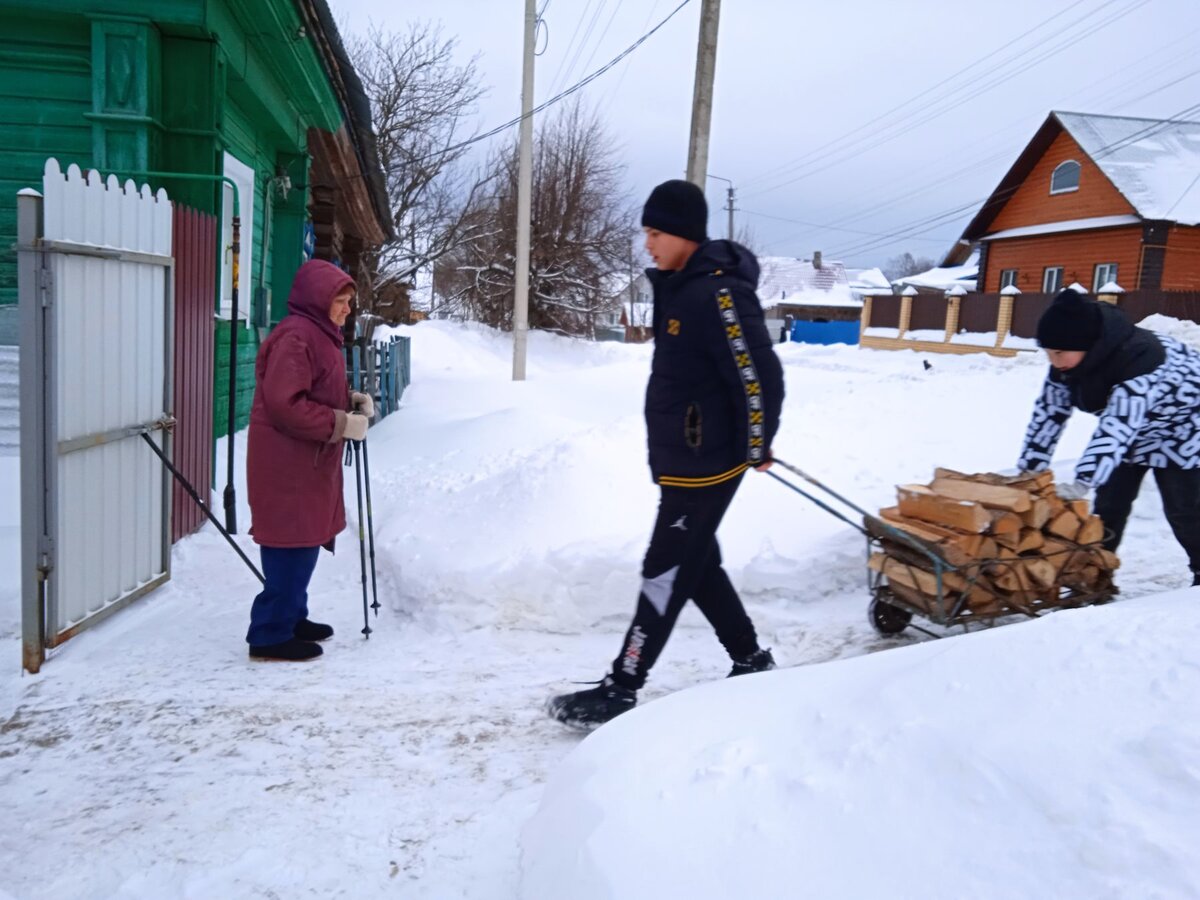 ВОЛОНТЁРЫ- БЕСПОКОЙНЫЕ СЕРДЦА | Солнечный друг (Приют Солнцево, Москва) |  Дзен