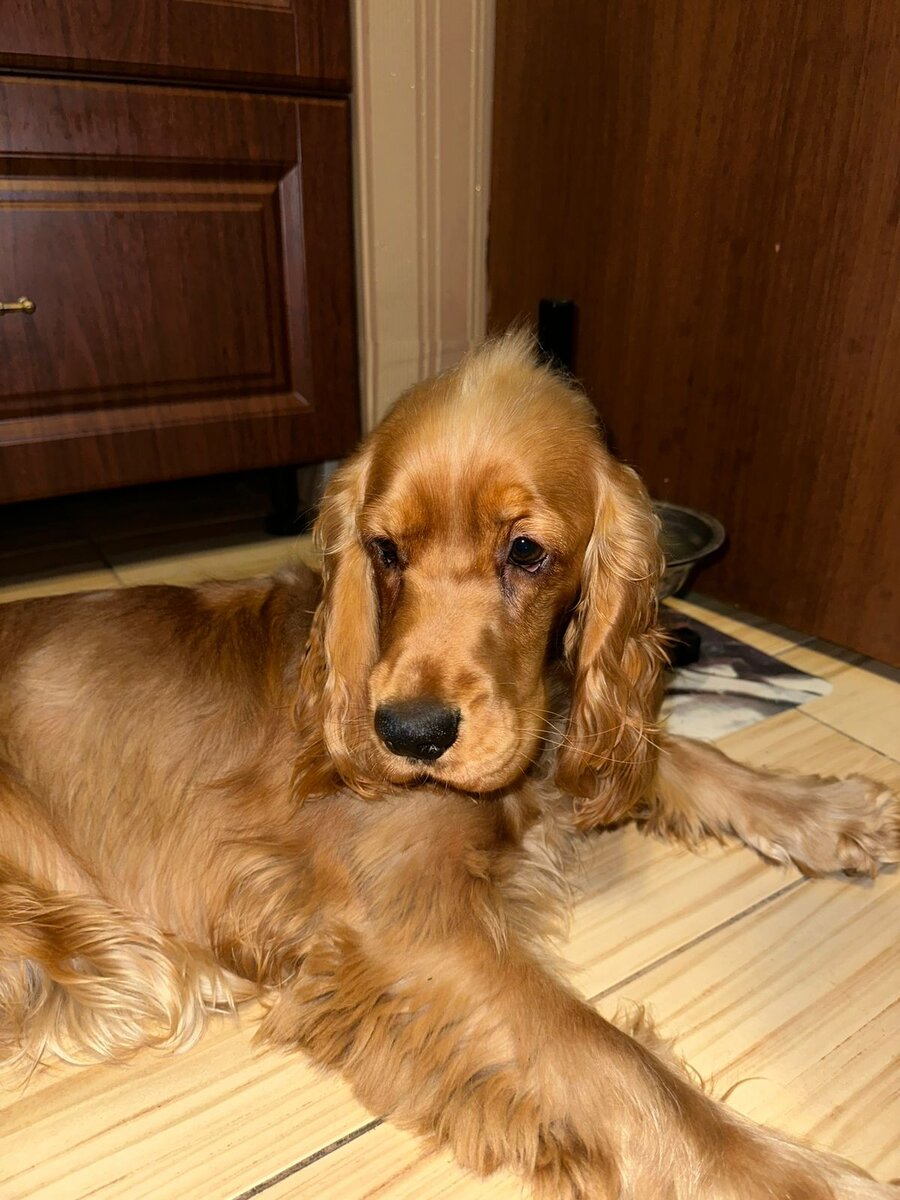 Наша девчуля.