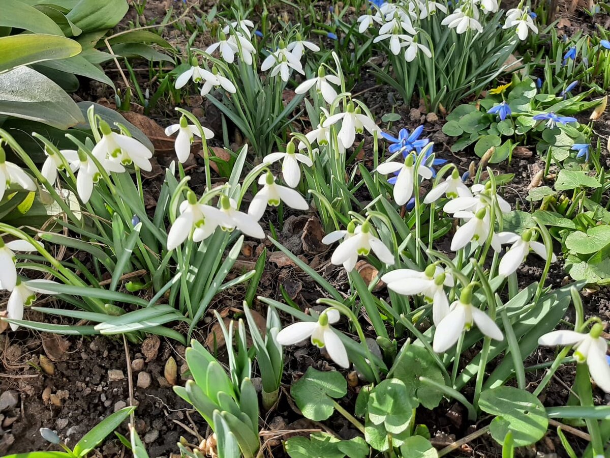 Фото Елены Погореловой