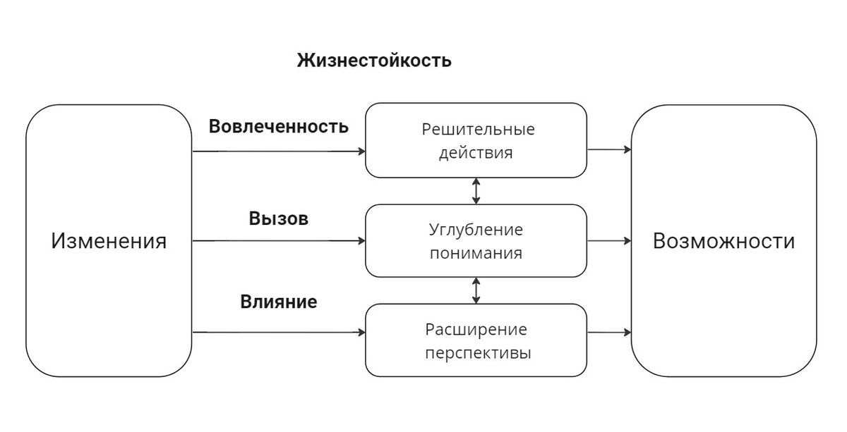 Схема на основе статьи Сальваторе Мадди "Смыслообразование в процессе принятия решений".