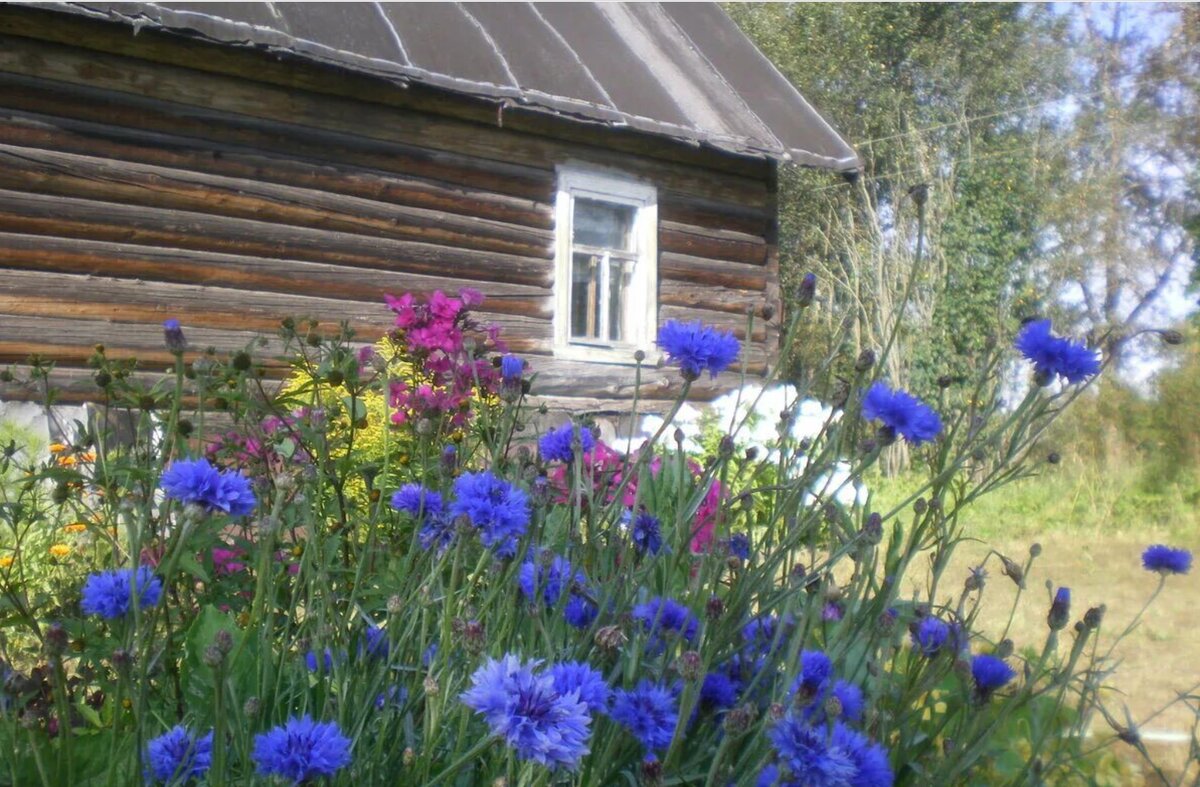 Изображение из свободных источников