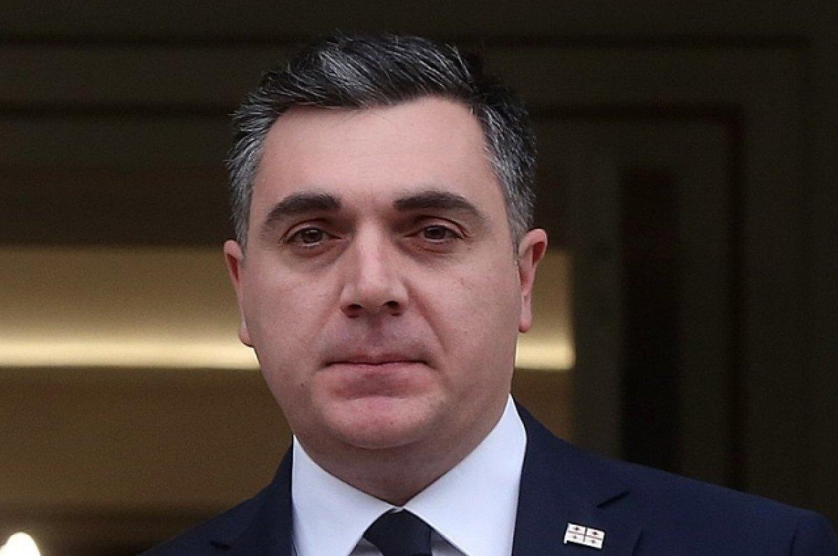    Глава МИД Грузии положительно оценил отмену визового режима со стороны РФ