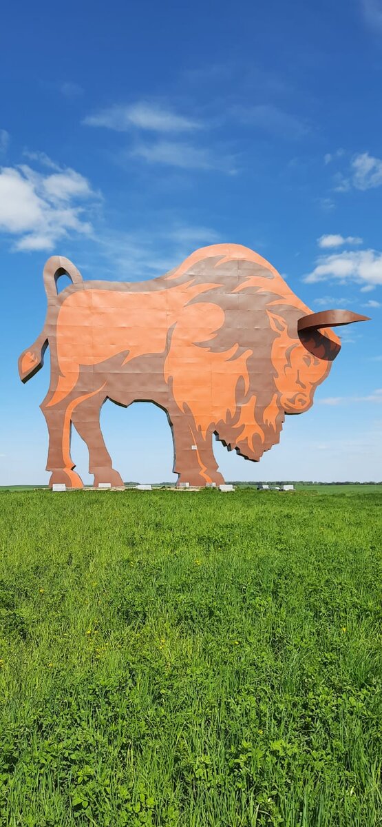 Фото: Павел Цысарь