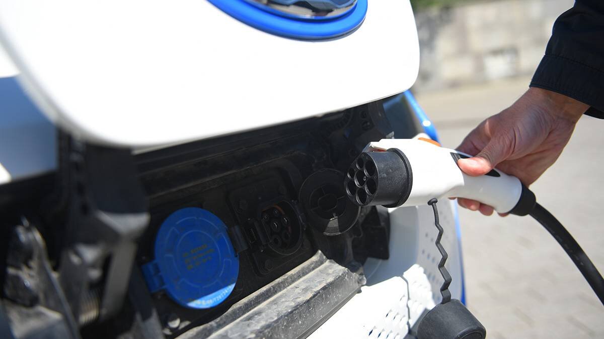    Фото: Александр Кожохин / Вечерняя Москва