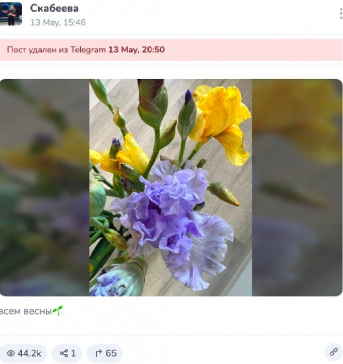    «Скоро в России начнут отстреливать синичек». В Госдуме призвали не преследовать россиян за жёлто-синий цвет