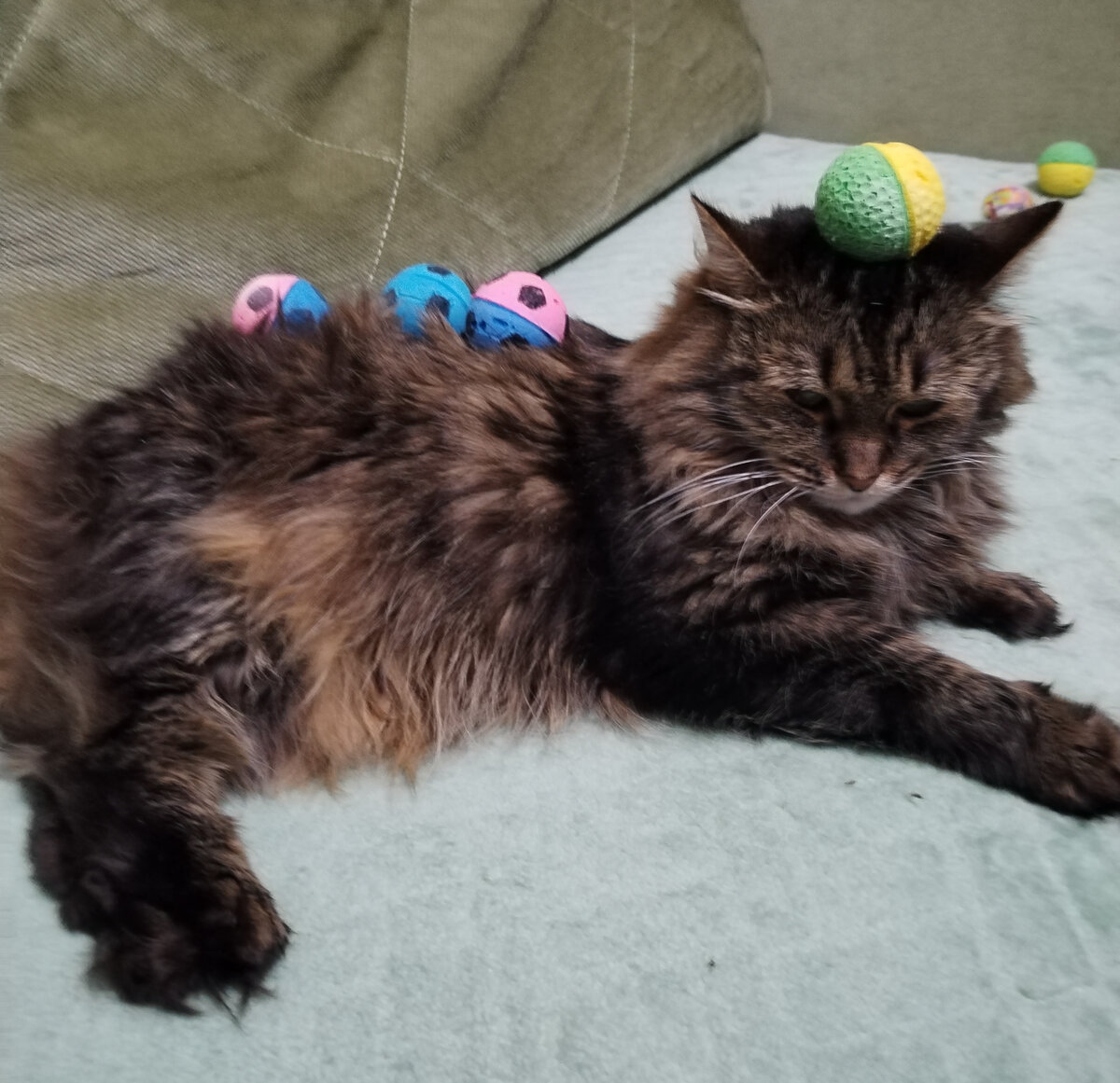 Маша. Фото: Людмила 