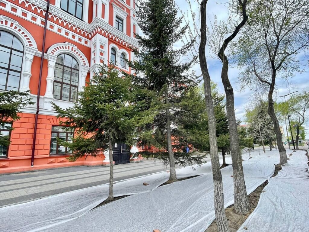    Фото: пресс-служба администрации города Благовещенска