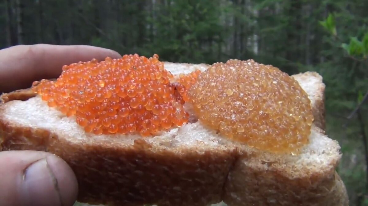 Содержание канала Удобная навигация по видео Рыбалкам Сборники Видео