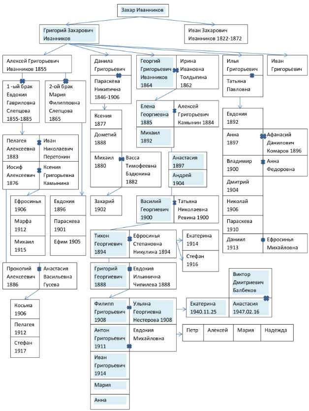 Древо Иванниковых.  