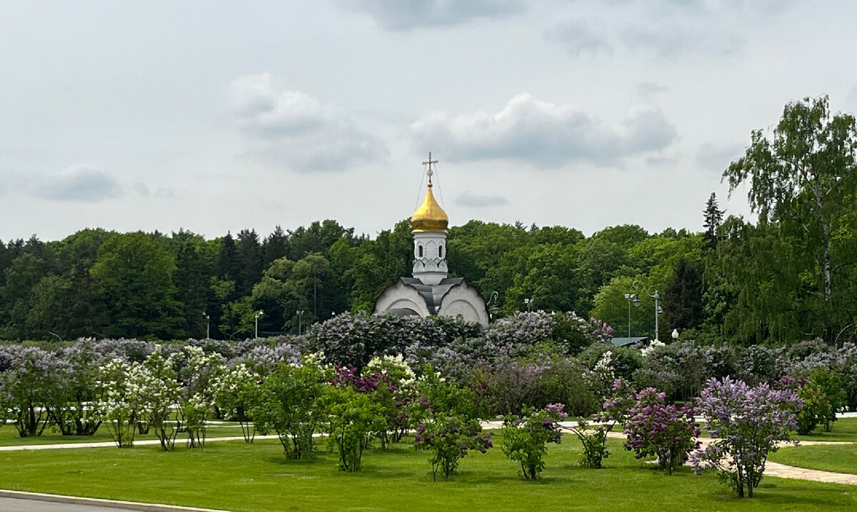 Сирингарий на ВДНХ
