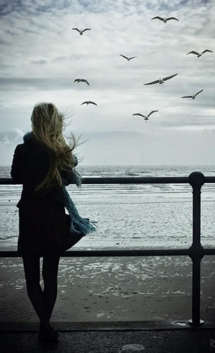 Картинка из свободного доступа в интернете 