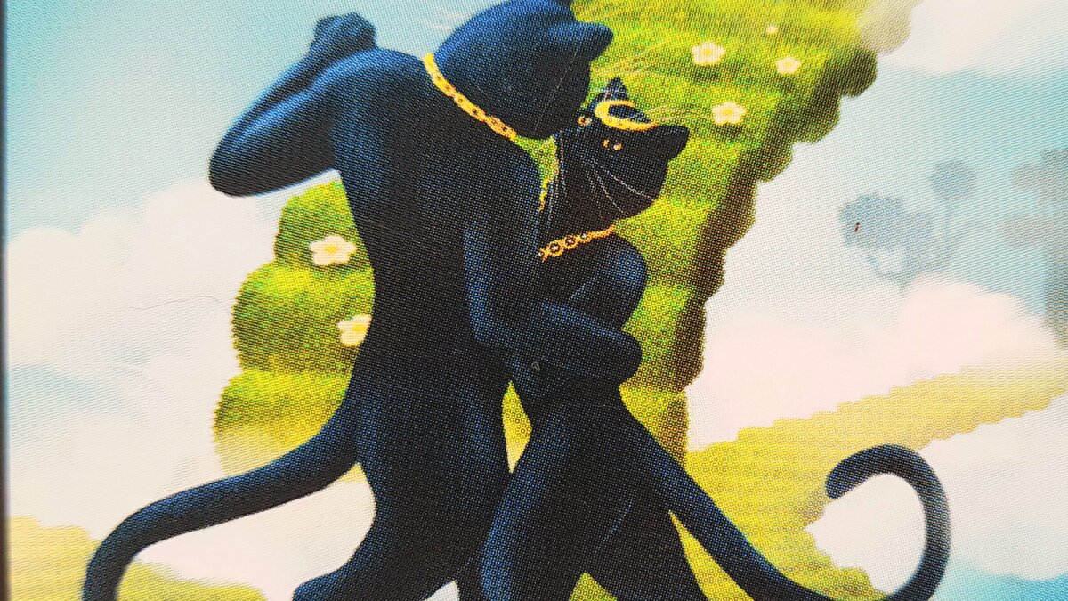 Любовь в Черных Котиках