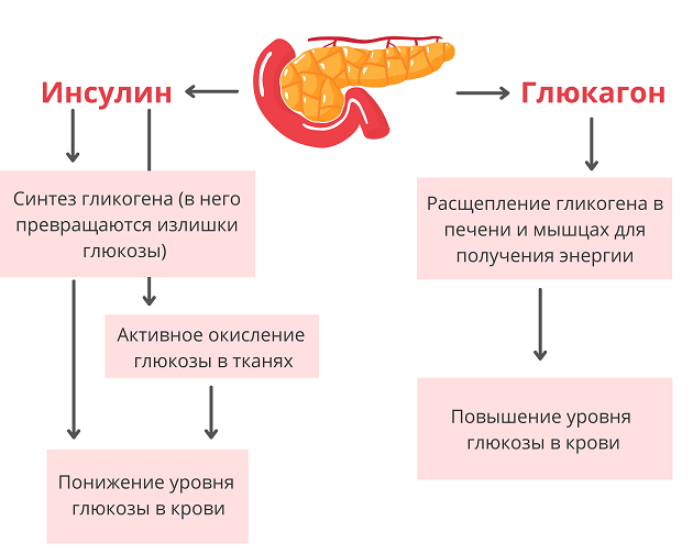 Поджелудочная железа боли лечение. Болезни поджелудочной железы. Трипсин в поджелудочной железе. Боль поджелудочной железы. Железа смешанной секреции которая вырабатывает инсулин.