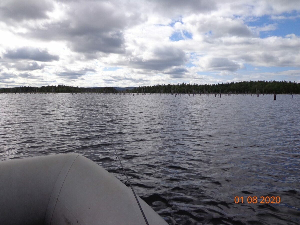 Опять ёлкли-пеньки, в дали что то виднеется. оказалось что это очередной оптический обман.