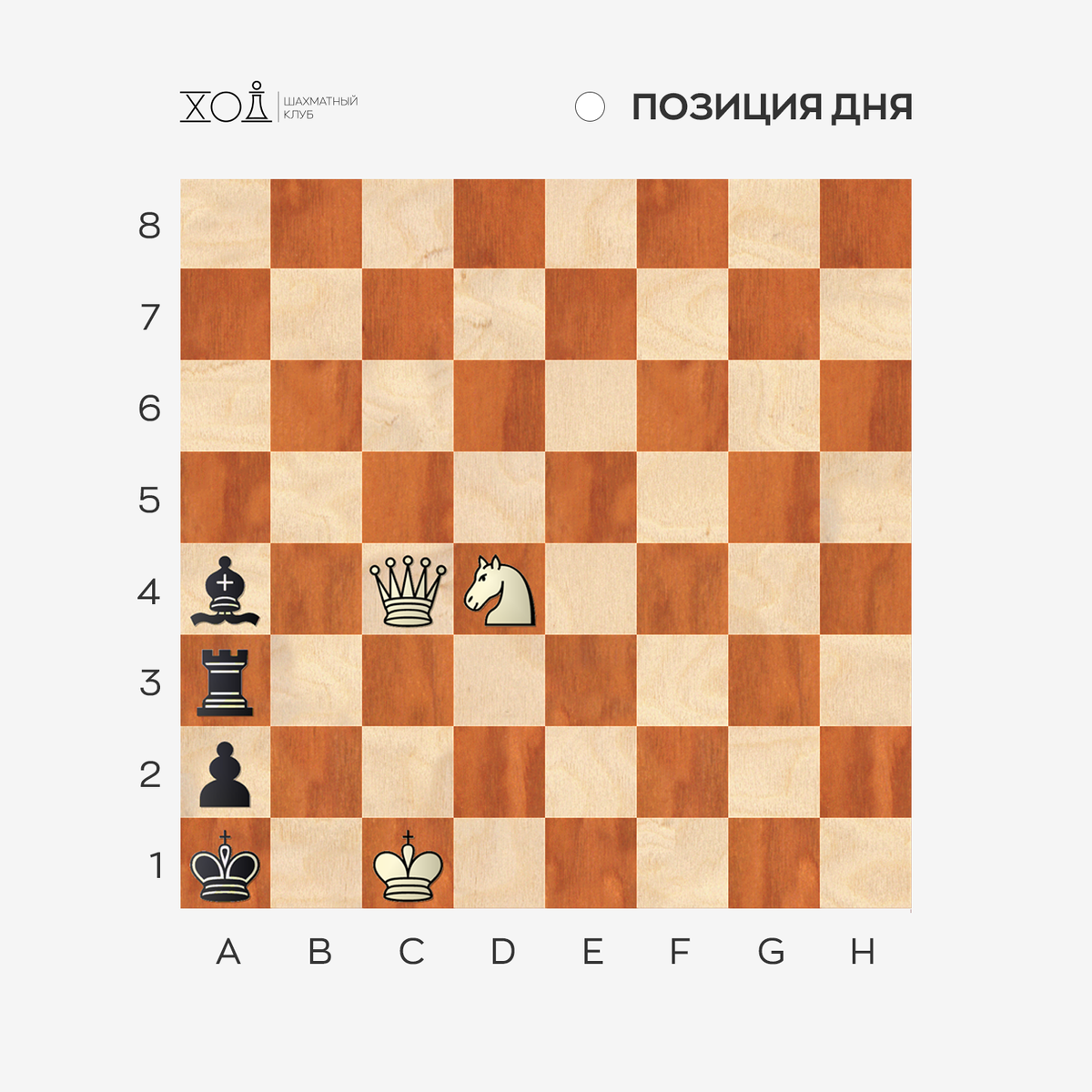 Задача по шахматам