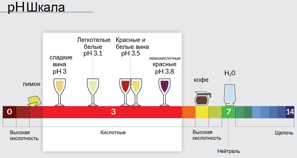 Вино может спровоцировать чувство голода и подтолкнуть к перекусам, особенно ночью.