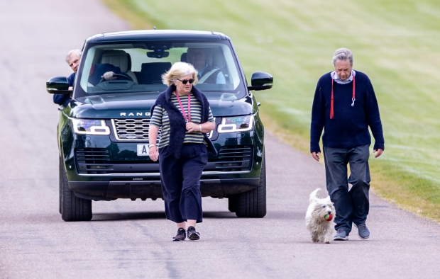 Фото из сети Интернет 