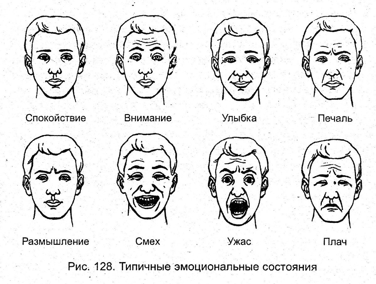 Схема мимики лица человека