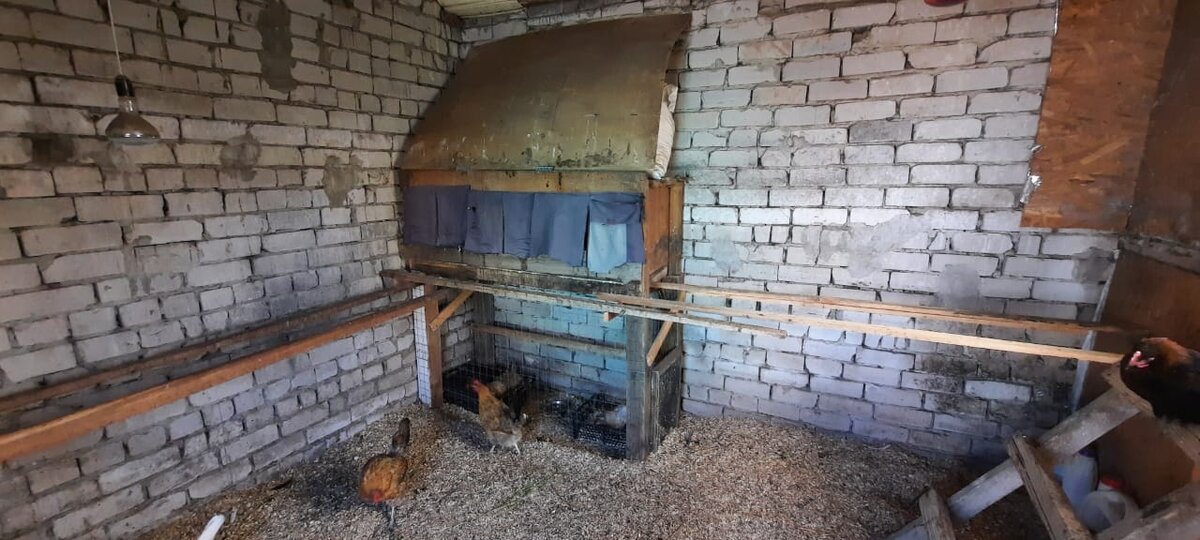 Справа добавили насесты для ночлега курочек и петушков.