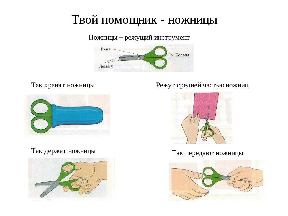 Как правильно держать ножницы фото Когда давать детям ножницы? Семейный и детский психолог в декрете Ермолаева Поли