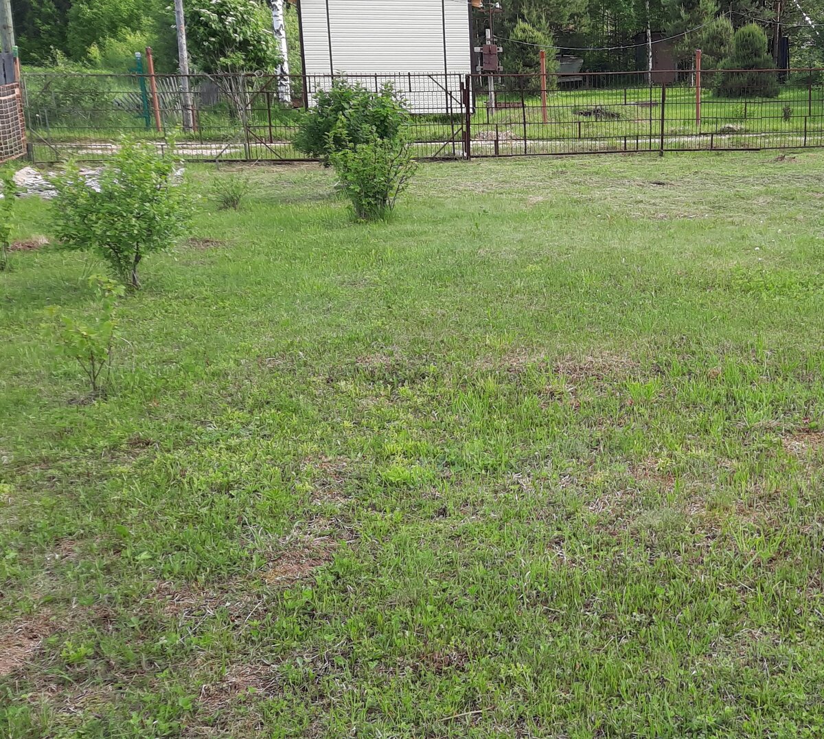 Стало. 6 июня.