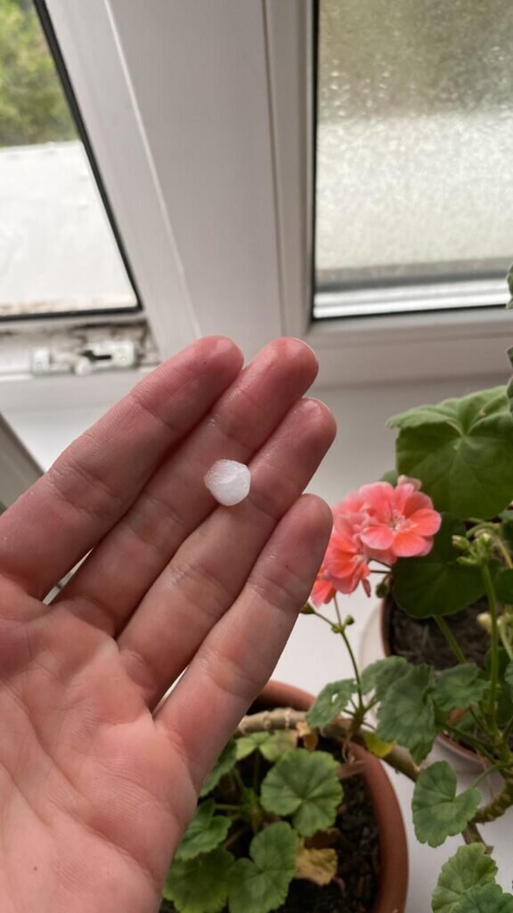    Фото: Амур.инфо