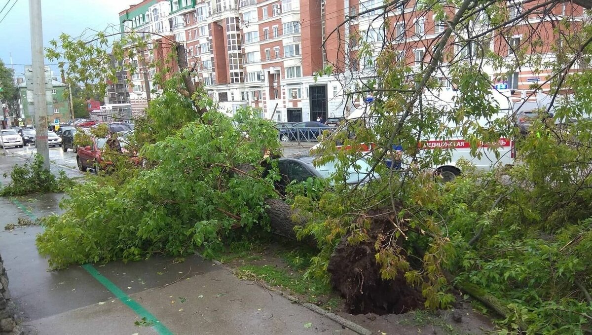     В Прикамье третий день подряд бушует сильный ветер, который роняет деревья на автомобили, тротуары и трамвайные пути.