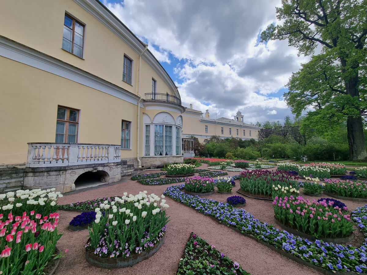 Вид на Собственный садик