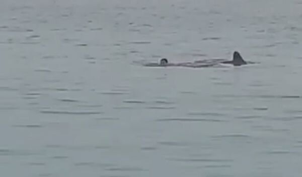 Источник фото: baza